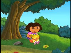 Can you spot the happy face?, Dora the Explorer