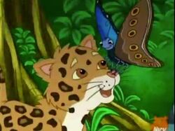 Baby Jaguar Dora The Explorer Wiki Fandom