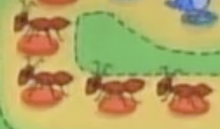 Ants