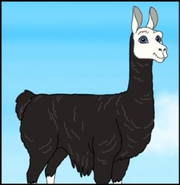 A llama, a vicuña's cousin