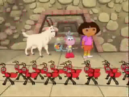 ants!