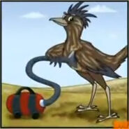 A roadrunner using a vacuum cleaner
