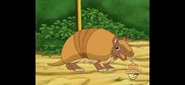 "We're almost to the finish line!" said Armadillo.
