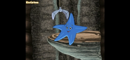 "Right, that's a sea star!"