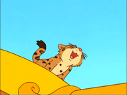MEOW!!!