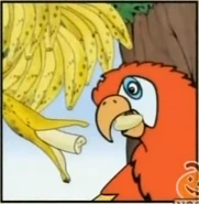 The Mommy Macaw Right Answer 4