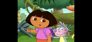 We need your help to stop Swiper! You have to say, "Swiper, no swiping!"