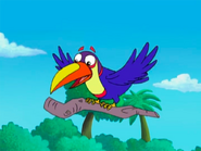 Dora-Senor-Tucan-holding-stick