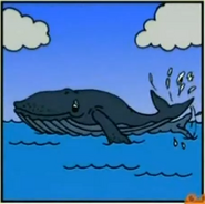 Diego Saves Baby Humpback Whale Right Answer 4