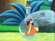 "DORA!