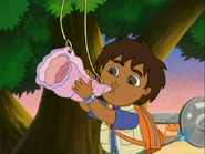 Diego blowing a conch shell horn.