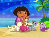 Dora's Moonlight Adventure