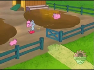 Did Boots forget to close the gate? (Yes, indeed! Look, it’s wide open!)