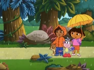 Swiper's had enough for now!