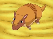 Say, "Hi, Armadillo!"
