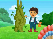 He grew a GIANT beanstalk!