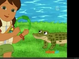 Alicia Saves The Crocodile