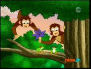 "Here's your flower!" They give it to the tree frogs.