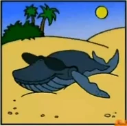 Diego Saves Baby Humpback Whale Wrong Answer 1