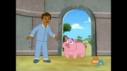 A pig is blocking Papi's way!