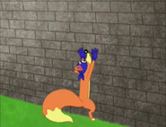 …but slips back down.
