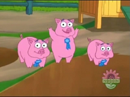 Oink!