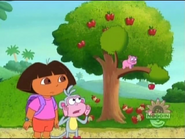 And he keeps tossing the apple cores to the ground. But… "Oinky come down! Oinky, COME DOWN!"