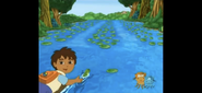 Which path has no lily pads floating on it?