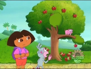 "Oinky's going to FALL!"