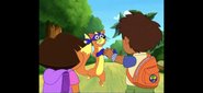 Swiper,
