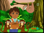 "The Bobos can grab the nuts," Diego explained. "But first, we've gotta make sure we can find all 10 of them!" Will you help?