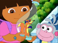 Swiper is excited!