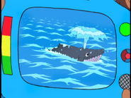 What is it?