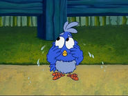 Baby Blue Bird is STILL crying. Looks like the dancing isn't enough!