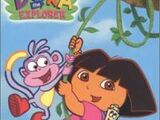 Dora The Explorer Videos