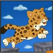 Journey To Jaguar Mountain Right Answer 3