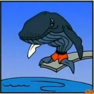 Diego Saves Baby Humpback Whale Wrong Answer 2