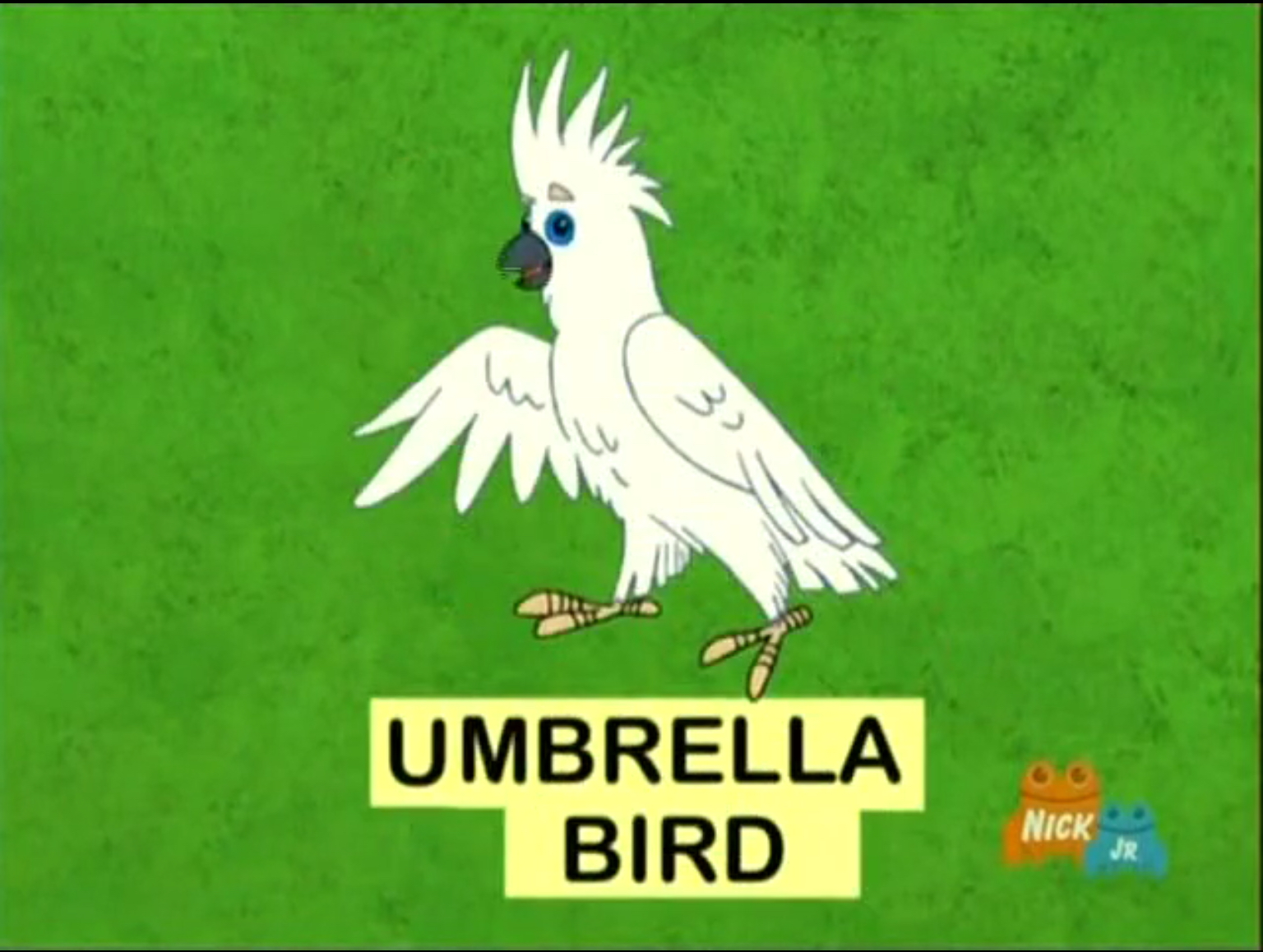 white umbrella bird