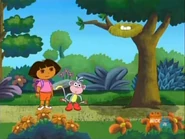 Do you see a nest? Where?