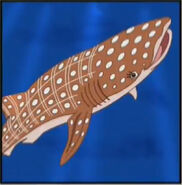 A whale shark with spots and stripes on its skin