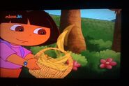 Oh, good. Dora gets out a basket.
