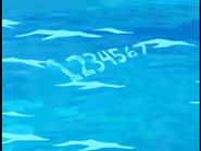 Where are the the Seven Seas?