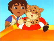 (Yer lucky the salt water in the ocean doesn't taste very good, you silly cub.)