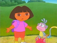 Let's stop and think… How did we find the baby bird when she was hiding in the bush?