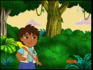 They show her Diego.
