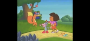 Swiper,