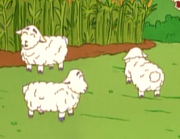 Three Sheep