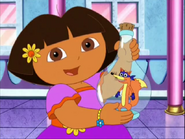 Help Dora make the wish. Say "I wish Swiper free!" Come on! Say it!