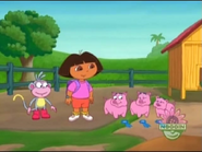 The pigs are excited.