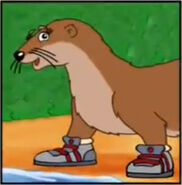 Do river otters have sneakers?